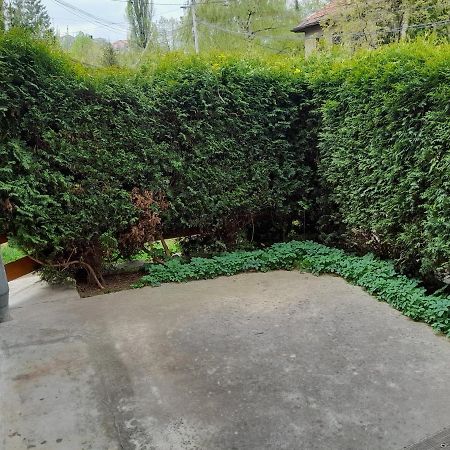 Pine Tree Apartment Sarajevo Bagian luar foto
