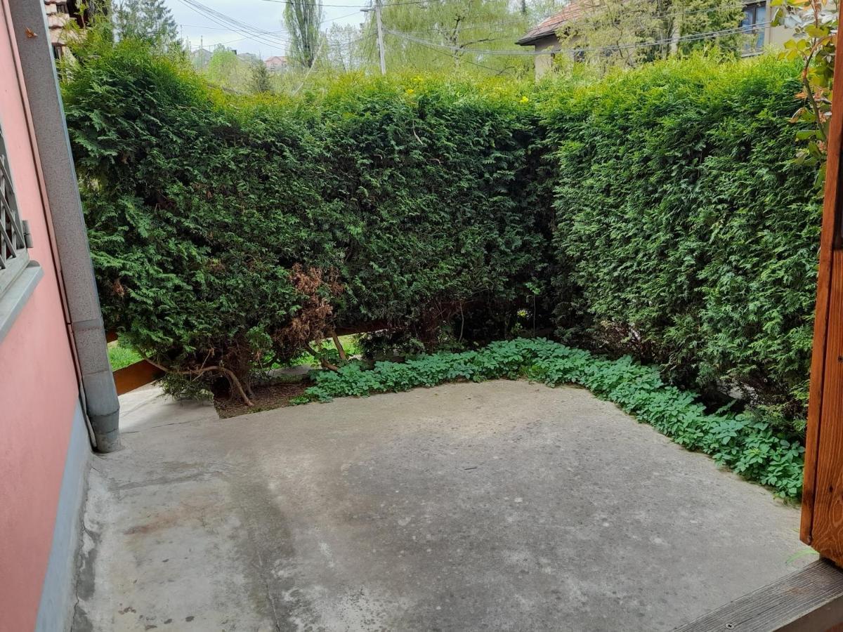 Pine Tree Apartment Sarajevo Bagian luar foto