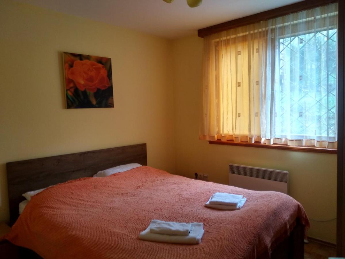 Pine Tree Apartment Sarajevo Bagian luar foto