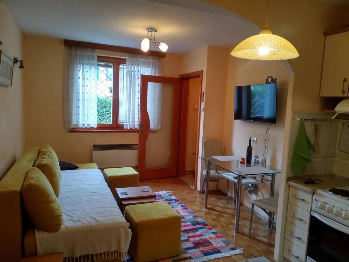 Pine Tree Apartment Sarajevo Bagian luar foto